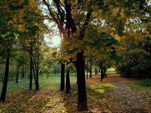 Autumn / *****