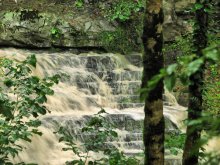 tropical waterfall / ***