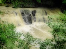 tropical waterfall / ***