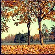 [ autumn sketches *567 ] / ***
