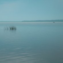 quiet / ***