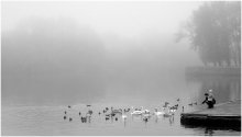 Morning on the waterfront / *****