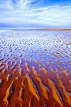 Formby / ••••••