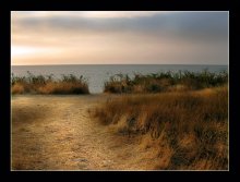 Tenderness, this sea .. / ***