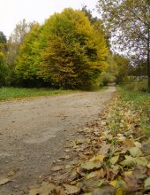 Autumn. October. / ***