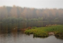im Nebel / ***