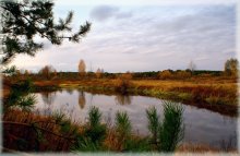 Autumn / ***