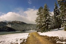 Black Lake / -----