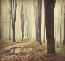 Misty / ......