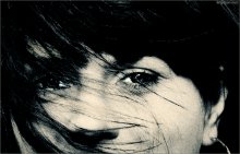 [ W I N D ] / ***