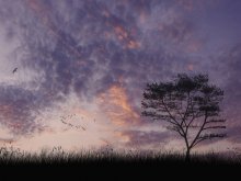 Abenddämmerung / ***