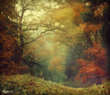 Autumn / ......