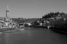 About fishing on the (in) the river Adige / ***