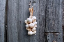 ANTI FLU (GARLIC 2'ND) / Many peoples around got flu recently