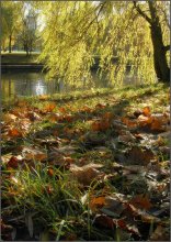  / http://velosipedd.blogspot.com/2009/11/301009.html