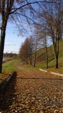 Autumn Straße / ***