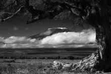 Kilimanjaro2 / .....