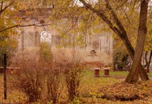 Fall / ***