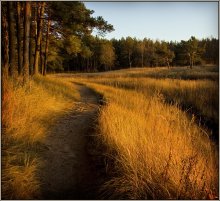 Waldlehrpfad / ***