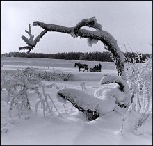 Winter-Straße / *****
