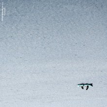 [Air. Together} / ***
