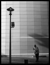 gray scale / ***