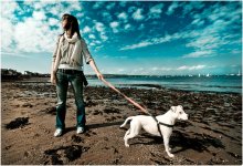 Walking the dog / .......