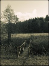 Bridge / *****