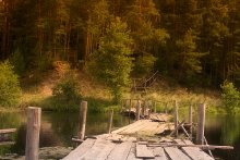 bridge on the lake / ***