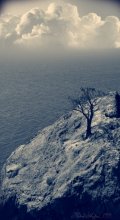 ... Loneliness, growing ... / .....