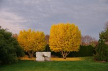 Herbst / ***