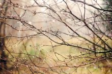Tears of Autumn / ----------