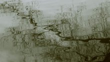 deep water / ..................