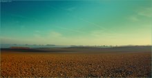 [ Endless Fields ] / ***