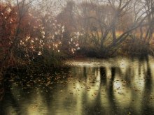 Frozen Autumn / ---------