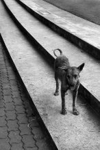 Lines of life .. / ***