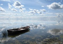 Looking glass / .....