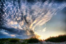 Wing Heaven / ..................