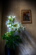 Lilies / ***
