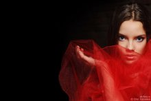 Dasha_01 / ***
