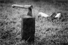 Still Life with ax / ***