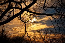 Close to sunset / *****