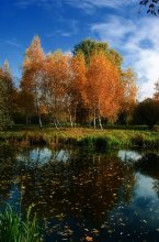Autumn / ***