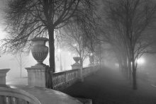 Ming mists - 1 / ***