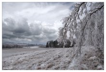 Winter theme / ***