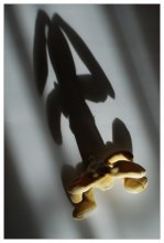 Bunny warf sich Herrin / ***