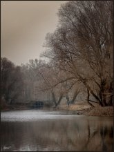 autumnal solitude / ............................
