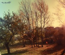 Ah, the autumn / ***