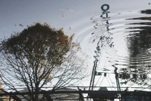 Reflection / ---------->