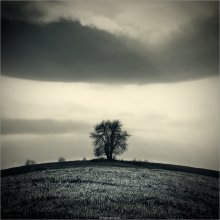 [ Earth and Sky ] / ***